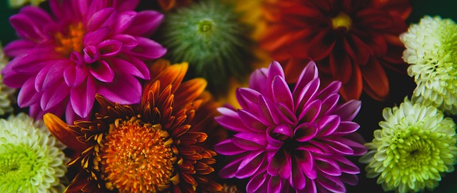 他不仅屡次 他不仅屡次