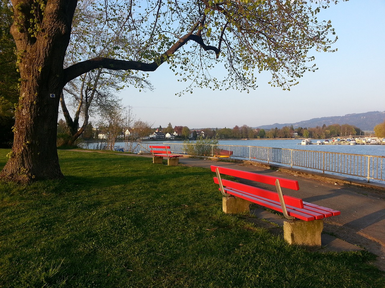 通过案例分 通过案例分
