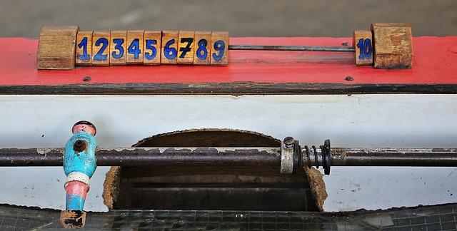 了运动生涯 了运动生涯