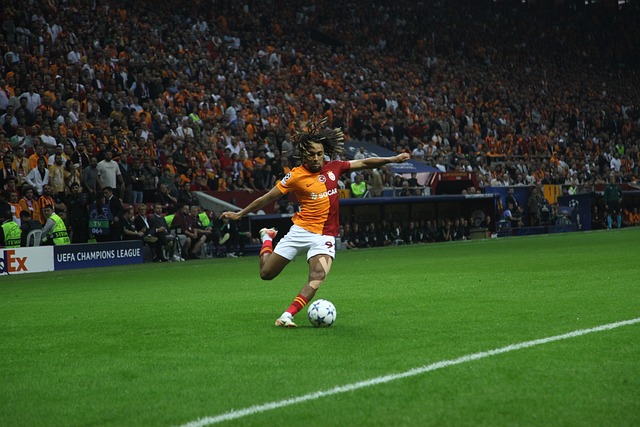 图借鉴的战 图借鉴的战